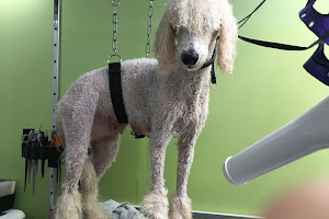 Snuffles Dog Grooming & Pet Supplies Fareham