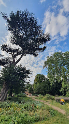 Pitzhanger Manor & Gallery - Museum