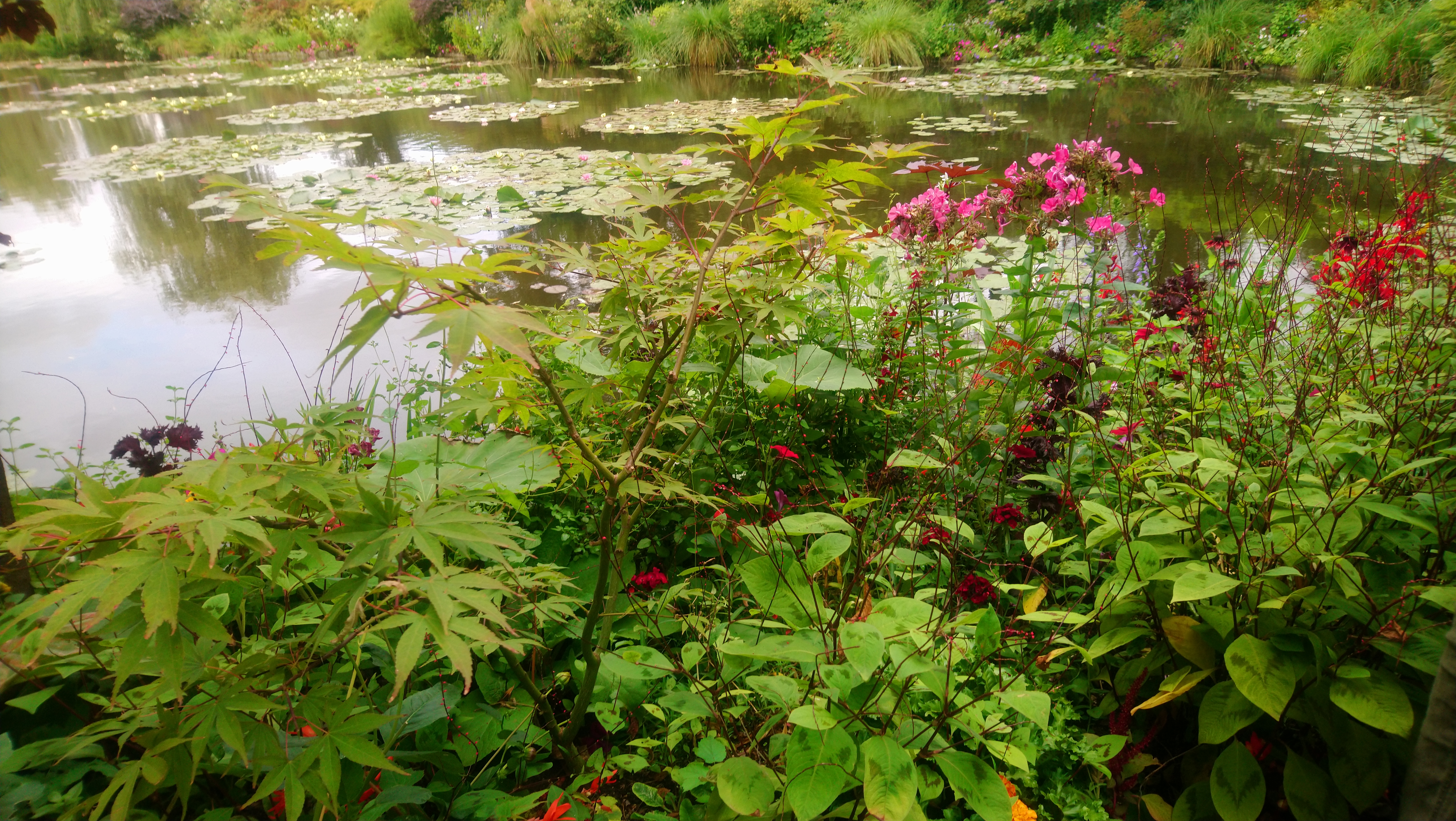 Photo n° 33 de l'avis de Angèle.K fait le 03/08/2020 à 11:24