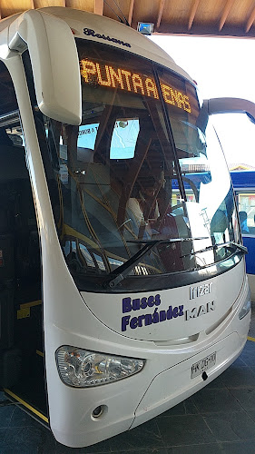 Buses Fernández - Agencia de viajes