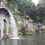 Photo n°12 de l'avis de Marjana.o fait le 19/04/2024 à 19:50 sur le  Take-Away Armando's à Porto Moniz