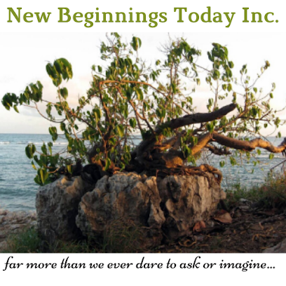 New Beginnings Today Inc