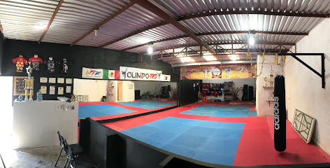 Escuela de taekwondo OlimpoTkd