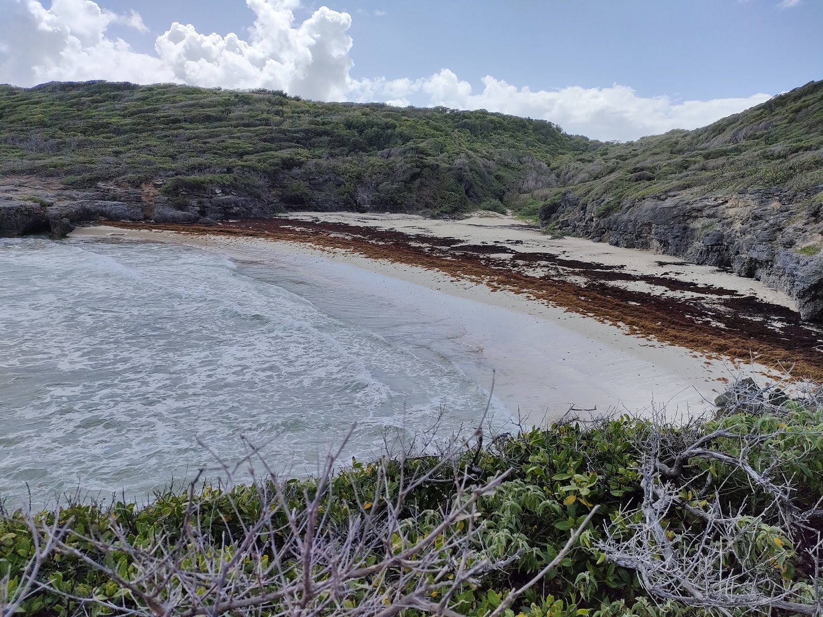 Foto de Plage des Rouleaux área selvagem