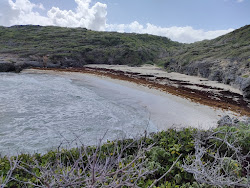 Photo de Plage des Rouleaux zone sauvage