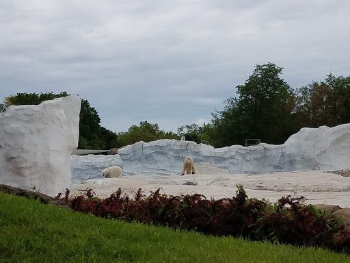 Zoo «Arctic Ring of Life», reviews and photos, 8450 W 10 Mile Rd, Royal Oak, MI 48067, USA