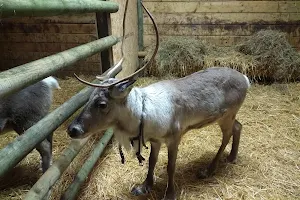 Somerset Reindeer Ranch image