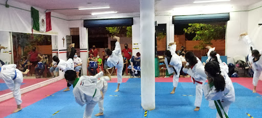 Academia de Taekwondo MP