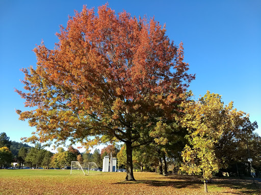 Park «Willamette Park», reviews and photos, SW Macadam Ave, Portland, OR 97219, USA