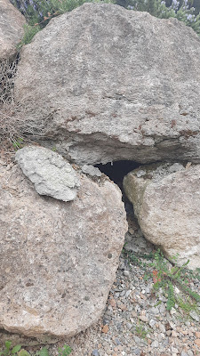Patebex Sarl à Bram