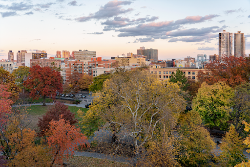 Park «Marcus Garvey Park», reviews and photos, 18 Mt Morris Park W, New York, NY 10027, USA