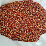 Photo n°11 de l'avis de Paolo.u fait le 09/11/2018 à 11:28 sur le  Pitti à Montalto Dora