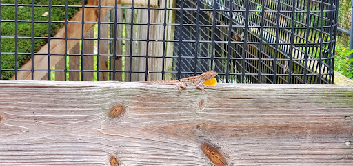 Science Museum «Marine Science Center», reviews and photos, 100 Lighthouse Dr, Ponce Inlet, FL 32127, USA