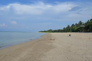 Dancalan Beach Resort image