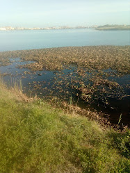 Clube Náutico Praia De Mira