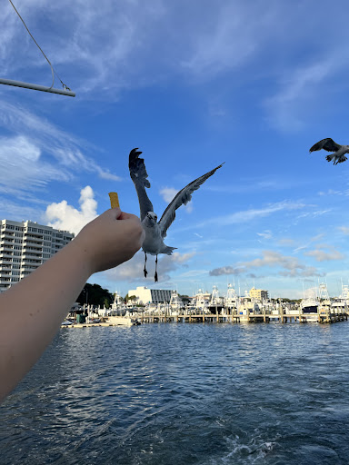 Sightseeing Tour Agency «Southern Star Dolphin Cruises», reviews and photos, 100 Harbor Blvd, Destin, FL 32541, USA