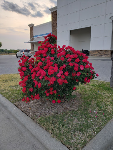 Sporting Goods Store «Academy Sports + Outdoors», reviews and photos, 2211 Elder Ln, Kannapolis, NC 28083, USA