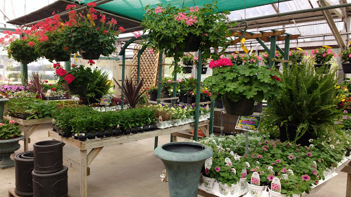 Garden Center «Delahunty Nurseries & Florist», reviews and photos, 41 Range Rd, Windham, NH 03087, USA