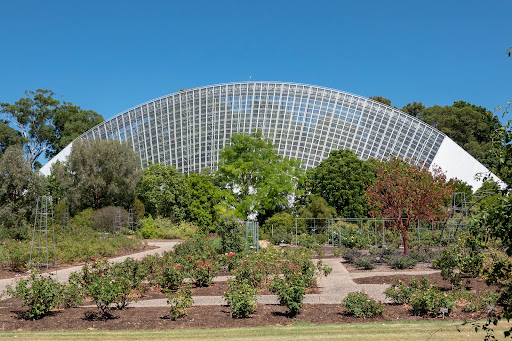 Vertical garden Adelaide