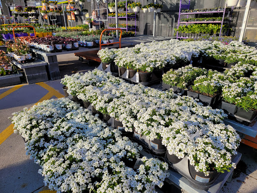 Home Improvement Store «The Home Depot», reviews and photos, 230 Oak Lee Dr, Ranson, WV 25438, USA