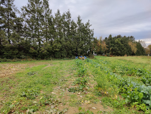 Produce Market «Race Farm», reviews and photos, 87 Belcher Rd, Blairstown, NJ 07825, USA