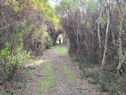 Heathlands Walk Trail