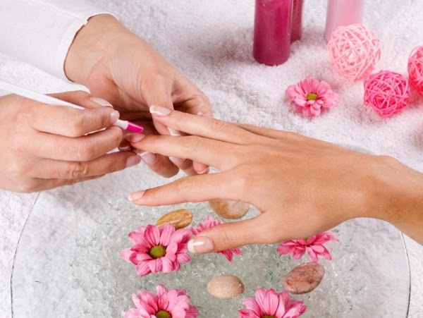 Salón de Belleza Drácena