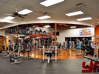 Your Fitness 365 A 24 Hour Gym
