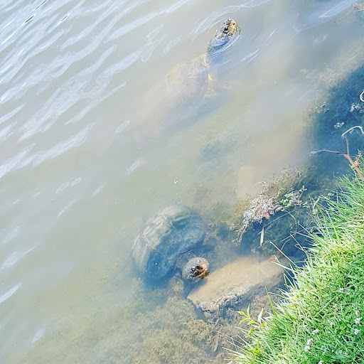 Water Park «Tomahawk Lake», reviews and photos, 155 Tomahawk Trail, Sparta Township, NJ 07871, USA