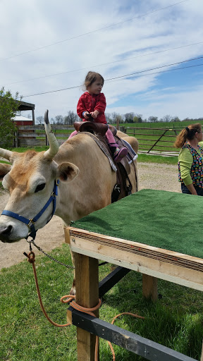 Tourist Attraction «Shawhaven Farm», reviews and photos, 1826 Rolfe Rd, Mason, MI 48854, USA