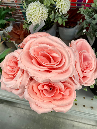 Clothing Store «Burlington Coat Factory», reviews and photos, 290 Turnpike Rd #10, Westborough, MA 01581, USA