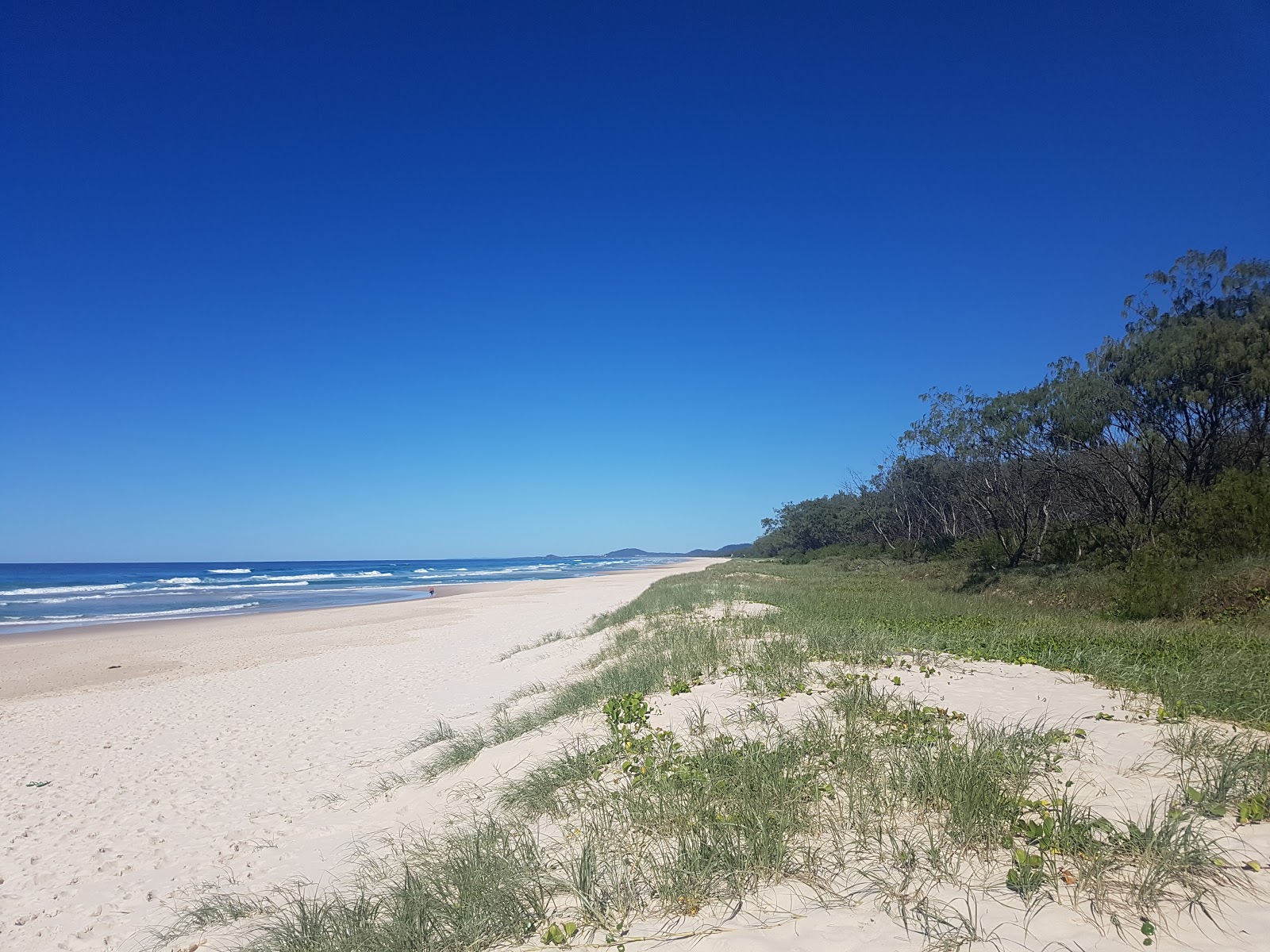 Photo of South Kingscliff Beach located in natural area