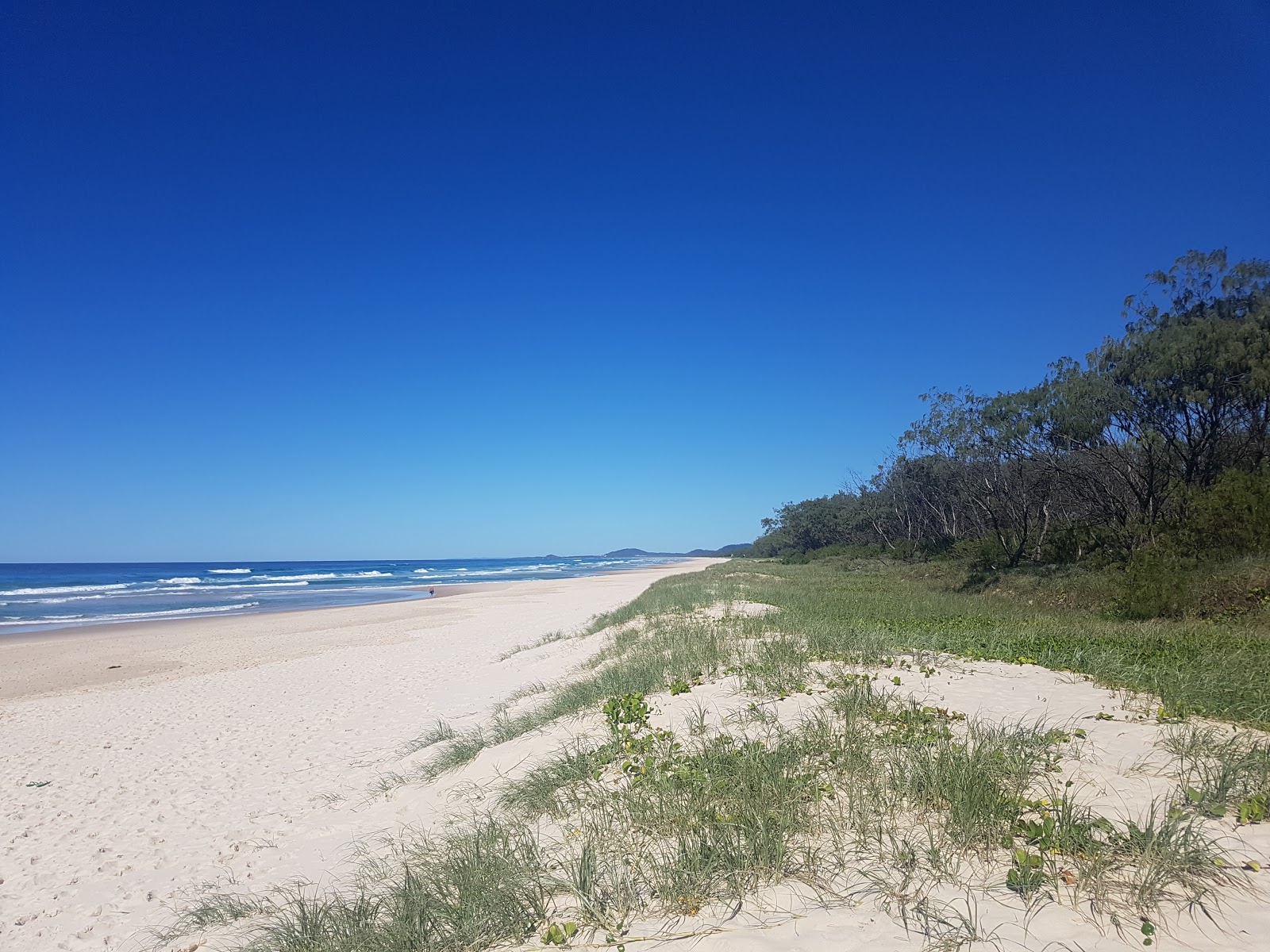 Foto von South Kingscliff Beach - beliebter Ort unter Entspannungskennern