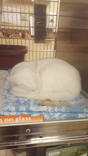 Pet Supply Store «PetSmart», reviews and photos, 1559 Merritt Blvd, Dundalk, MD 21222, USA