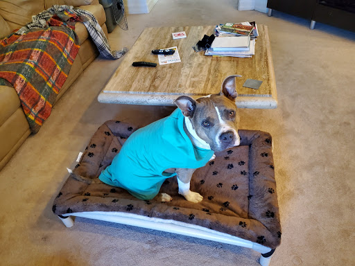 Pet Supply Store «Bark Avenue Pet Supply», reviews and photos, 3109 E McKellips Rd, Mesa, AZ 85213, USA