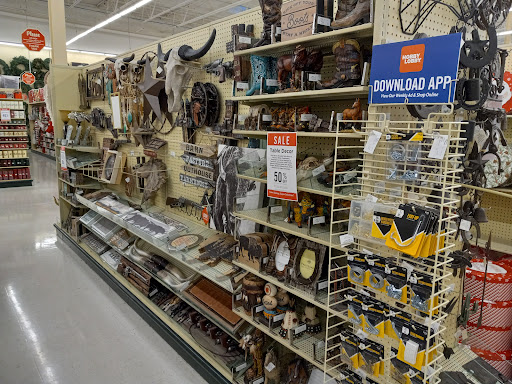 Craft Store «Hobby Lobby», reviews and photos, 6797 E Genesee St, Fayetteville, NY 13066, USA