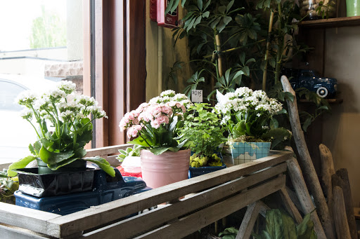 Florist «Bothell Florist», reviews and photos, 10021 NE 183rd St, Bothell, WA 98011, USA