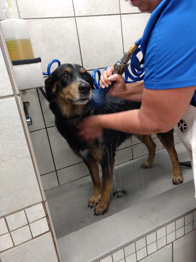 Pet Supply Store «Pet Supplies Plus», reviews and photos, 605 Grand Central Ave, Vienna, WV 26105, USA