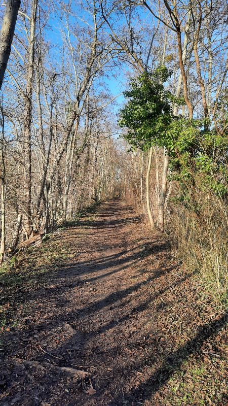 Photo n° 5 de l'avis de Robinet.h fait le 16/01/2022 à 08:07