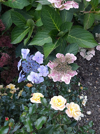 SiteOne Landscape Supply - Photo 7 - Car repair in Tacoma, WA, Tacoma