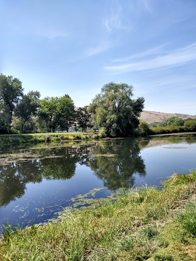 Private Golf Course «Yakima Elks Golf & Country Club: Pro Shop», reviews and photos, 318 Golf Course Loop Rd, Selah, WA 98942, USA