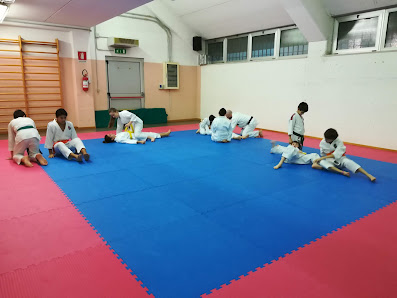 Ronin Dojo Ju Jitsu Associazione Sportiva Dilettantistica Via Botteghino, 1, 46043 Castiglione delle Stiviere MN, Italia