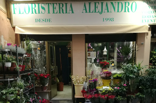 Floristeria alejandro