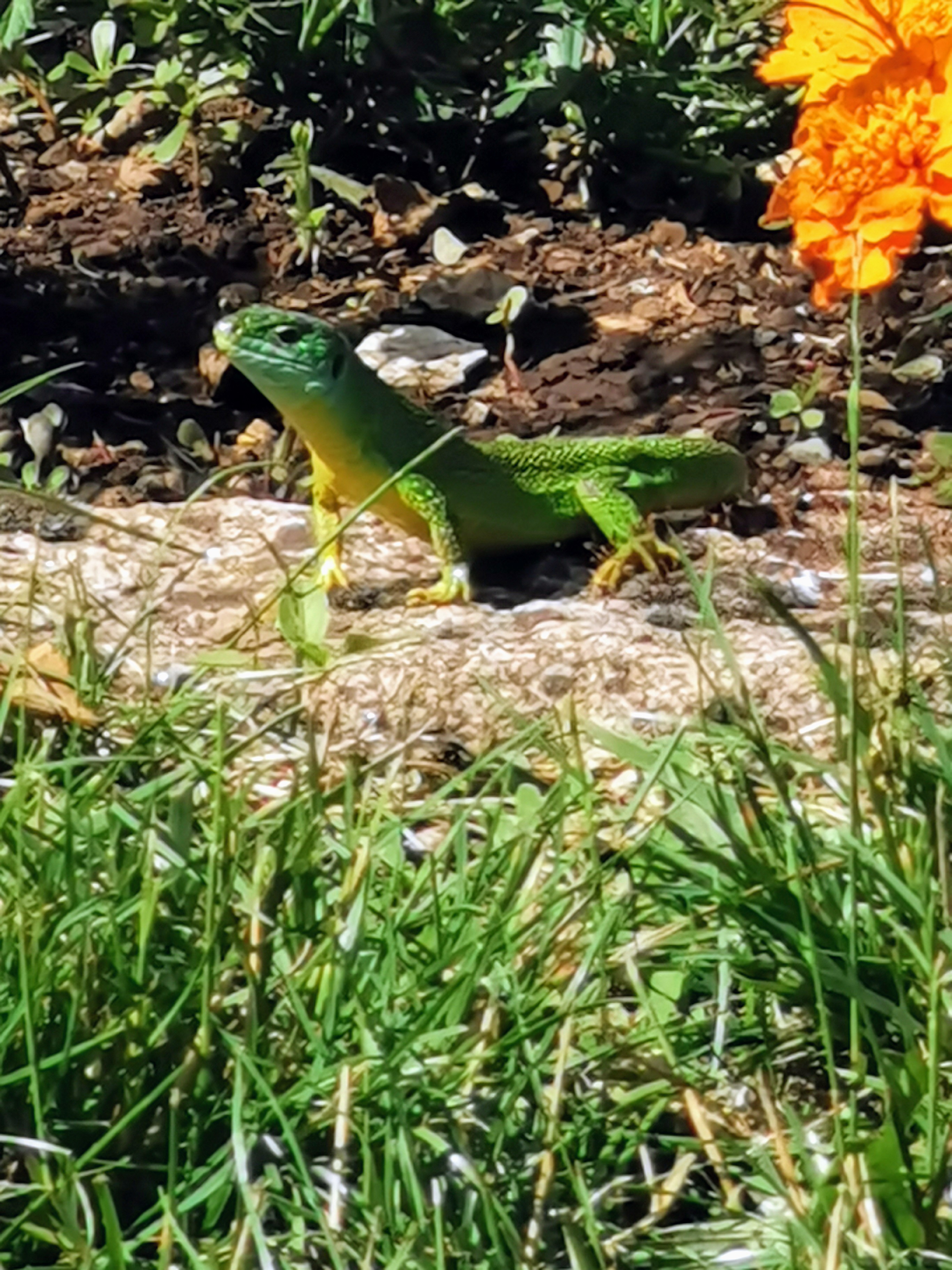 Photo n° 2 de l'avis de Cédric.a fait le 29/09/2019 à 18:58