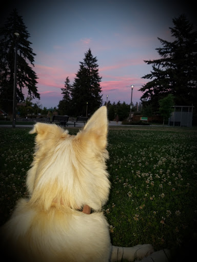 Park «Khunamokwst Park», reviews and photos, 5200 NE Alberta St, Portland, OR 97218, USA