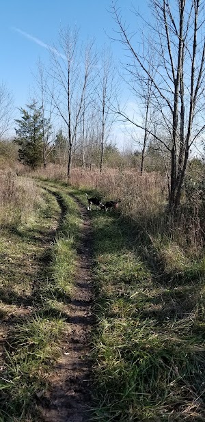 Sycamore State Park - photo 32