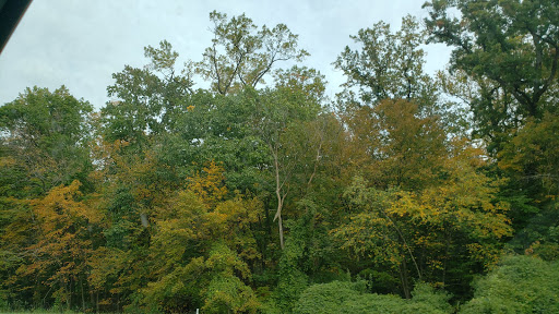 Park «Secor Woods Park», reviews and photos, Secor Rd, Hartsdale, NY 10530, USA