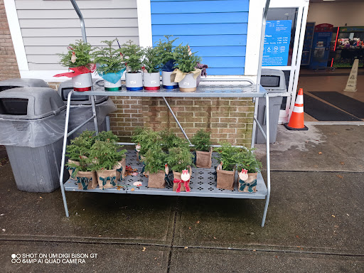 Discount Store «Walmart», reviews and photos, 137 Teaticket Hwy, Teaticket, MA 02536, USA