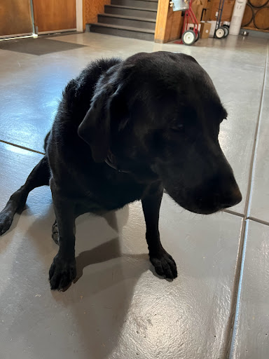 Vincent Arroyo Winery