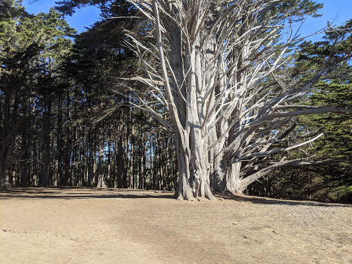 Nature Preserve «Fitzgerald Marine Reserve», reviews and photos, 200 Nevada Ave, Moss Beach, CA 94038, USA